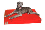 Elephant Dog Beds Elephant Dog Beds Elephant Living Large Vibrant Red 
