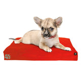 Elephant Dog Beds Elephant Dog Beds Elephant Living Small Vibrant Red 